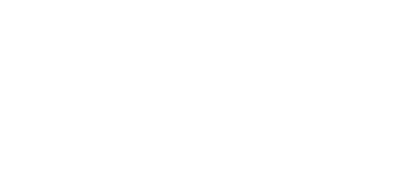 burlin-8